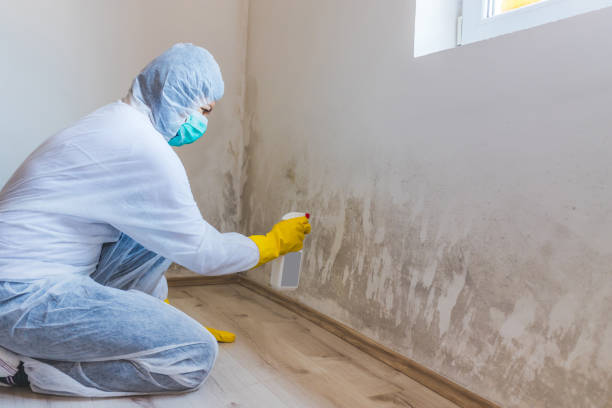 Commercial Mold Remediation assessment for commercial property in Waban
